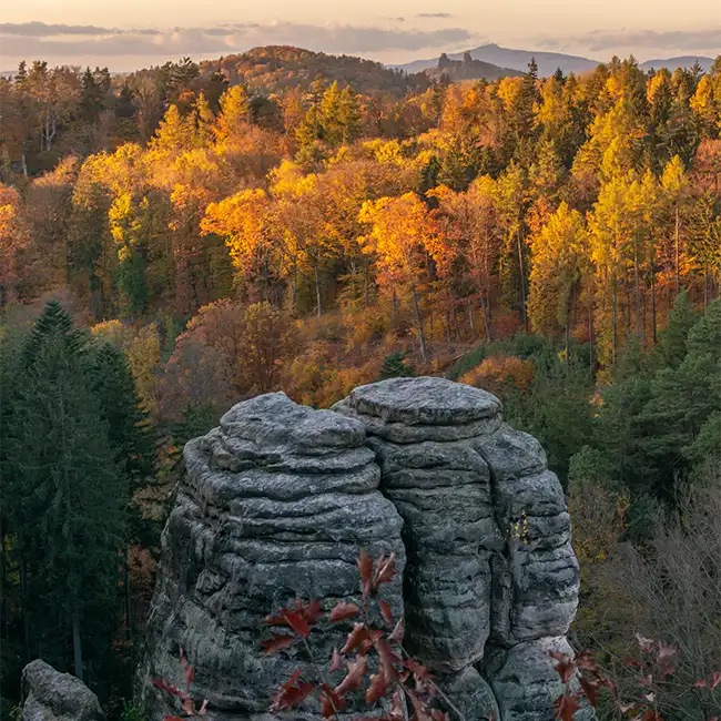 Prachovské skály
